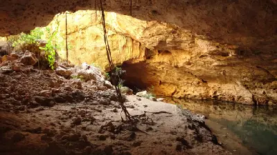 Sunlight enters the limestone cavern at Tunnel Creek, illuminating hanging roots, rocky ground and a shallow creek.