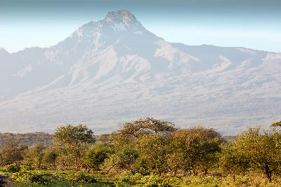 Morning view of Mawenzi Peak above acacia woodland on the eastern slopes of Mount Kilimanjaro, Tanzania.