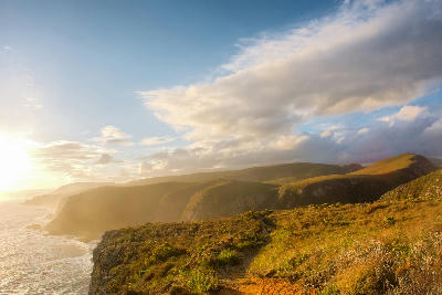 Forested coastal cliffs and ocean headlands along the Tsitsikamma Coast in golden evening light, South Africa.