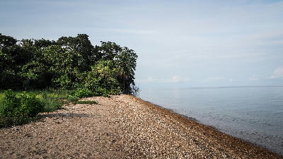 Remote beach and dense rainforest on the shores of Lake Tanganyika in Mahale Mountains National Park, Tanzania.