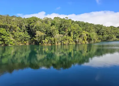 Rainforest and blue sky reflected in the calm waters of Lake Eacham in Queensland, Australia.