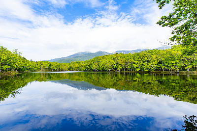 Calm lake reflecting forest and mountains at Shiretoko Five Lakes, Hokkaido