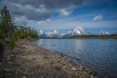 Rocky shoreline and forest edge along Jackson Lake with snow-covered Teton Range under dramatic clouds in Grand Teton National Park, Wyoming, USA.