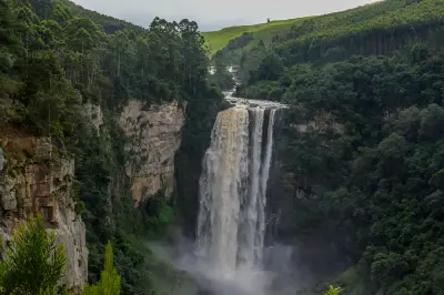 Karkloof Falls cascading over a high cliff into a mist-filled forested gorge surrounded by indigenous woodland in the KwaZulu-Natal Midlands, South Africa.