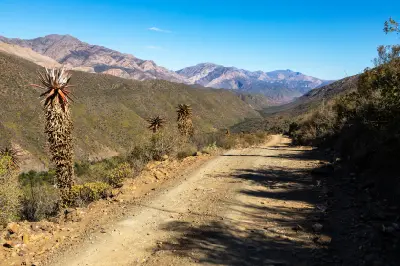 Gravel road with aloe plants descending into Gamkaskloof in the Swartberg Mountains of the Klein Karoo, South Africa.