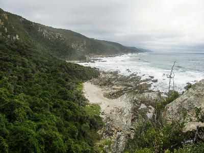 Secluded beach beneath forested cliffs along the Tsitsikamma Coast in South Africa.