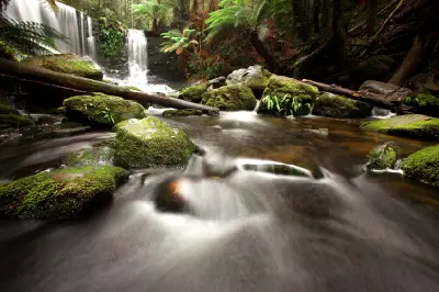 Long-exposure view of water flowing over mossy rocks below Horseshoe Falls amid dense rainforest and tree ferns in Mount Field National Park, Tasmania.
