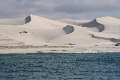 Large white coastal sand dunes beside the ocean in De Hoop Nature Reserve in the Western Cape, South Africa.