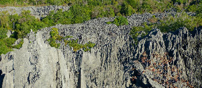 Dense limestone pinnacles and forest canopy in Great Tsingy, Tsingy de Bemaraha National Park, Madagascar