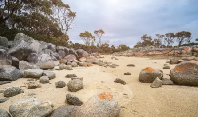 Orange-lichen granite boulders scattered across a sandy beach on Tasmania’s Bay of Fires.