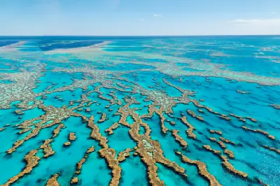 Aerial view of extensive coral formations and turquoise channels across the Great Barrier Reef, Queensland, Australia.