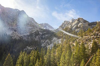 Granite mountains and pine forest Sierra Nevada near Mount Whitney California