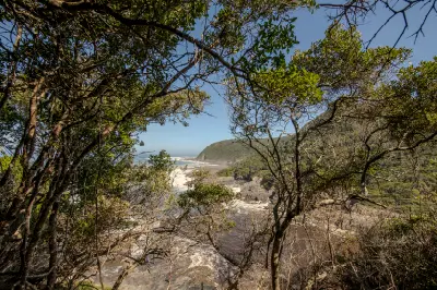 Salt River Mouth viewed through coastal forest in Nature's Valley on South Africa's Garden Route.