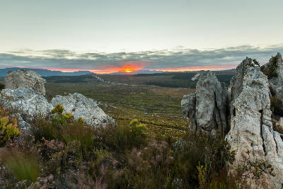 Sunrise landscape above the Elgin Valley with rocky mountain formations, fynbos, and farmland in the Western Cape, South Africa.
