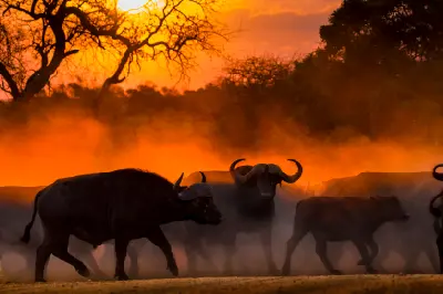 Kruger National Park