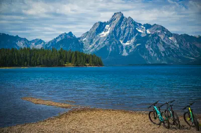 Mount Moran reflected across Jackson Lake with forested shoreline and rocky beach in Grand Teton National Park, Wyoming, USA.