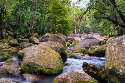 Clear river water winding around large moss-covered granite boulders in a dense green rainforest.