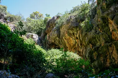 Dense vegetation grows beneath weathered limestone walls around Tunnel Creek in the Kimberley.