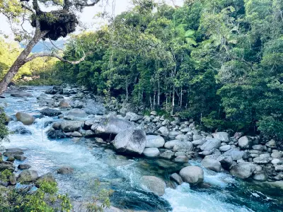 Wide shot of a fast-flowing rainforest river cutting through a boulder-strewn bed under a vibrant green canopy.