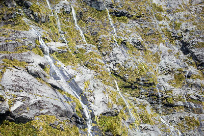 Thin waterfalls cascading down steep rock cliffs in Cleddau Valley near the Milford Road in Fiordland National Park, New Zealand.