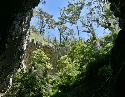 View from the exit of Mammoth Cave toward limestone walls and surrounding forest in Leeuwin-Naturaliste National Park, Western Australia.