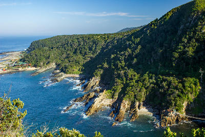 View of the rugged Tsitsikamma Coast with forested cliffs, rocky shoreline and the Indian Ocean in South Africa.