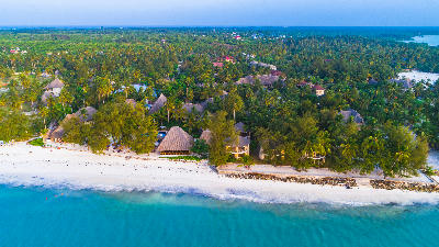 Drone view of Paje Village with tropical palm trees, beachfront resorts, white sand beach, and turquoise Indian Ocean, Zanzibar, Tanzania.