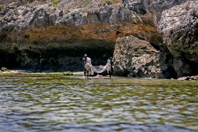 Local fishermen hauling fishing nets in shallow coastal waters beneath limestone cliffs at Matemwe, Zanzibar, Tanzania.