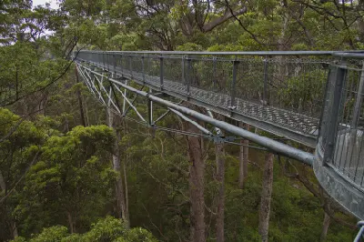 Elevated metal Tree Top Walk extending through tall forest at the Valley of the Giants near Walpole, Western Australia.