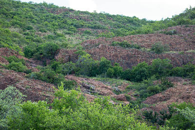 Red-rock outcrops and bushveld vegetation in the foothills of the Soutpansberg Mountains near Louis Trichardt, Limpopo, South Africa.