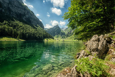 Clear alpine lake Seealpsee with visible rocks beneath the water, surrounded by green slopes, forest, and steep valley walls in the Alpstein mountains, Switzerland.