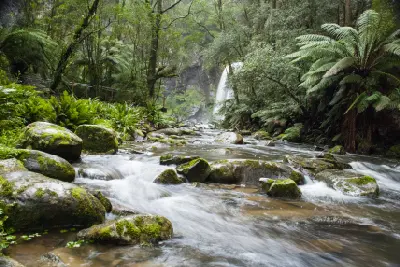 Rocky rainforest stream flowing below Hopetoun Falls among tree ferns and moss-covered boulders in Victoria.