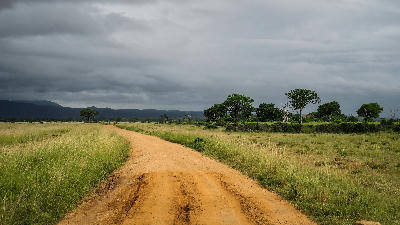 Safari track winding through the grasslands of Mikumi National Park beneath dramatic storm clouds.