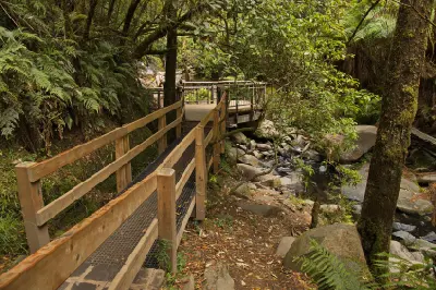 Timber walkway crossing a rocky forest creek on the Erskine Falls walking track near Lorne, Victoria.