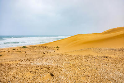 Shell midden deposits scattered across sandy coastal terrain beneath towering dunes in the Alexandria Dune Fields, Eastern Cape, South Africa.