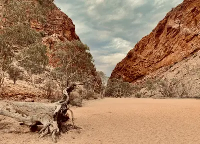 A weathered tree trunk on dry sand, lies between massive orange-red cliffs under a cloudy sky at Simpsons Gap, or Rungutjirpa, Northern Territory, Australia. 