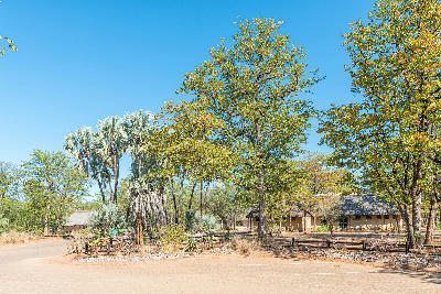 Shingwedzi Rest Camp buildings and large trees in northern Kruger National Park, South Africa.