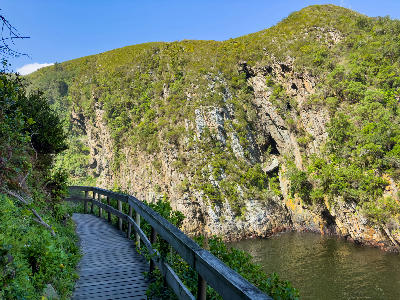 Wooden boardwalk following the edge of Storms River Gorge below steep rocky cliffs in Tsitsikamma National Park, South Africa.