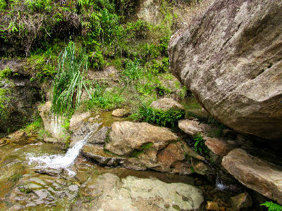 Small rainforest stream flowing through rocky jungle terrain along a forest trail in Ranomafana National Park, Madagascar