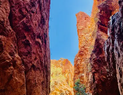 View upward between the sheer red-orange rock walls of Standley Chasm beneath a clear blue sky.