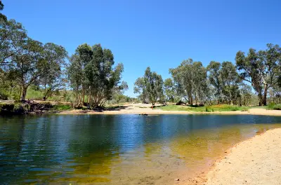 People enjoy swimming in the deep blue waterhole of a famous outback oasis, bordered by a sandy beach and large white-barked eucalyptus trees under a clear sky.