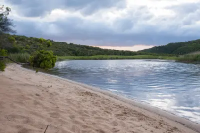 Sandy riverbank beside the calm Aire River estuary, surrounded by reeds and forested hills in Great Otway National Park, Victoria.