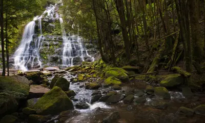 Nelson Falls above a rocky creek with moss-covered boulders and dense rainforest in western Tasmania.