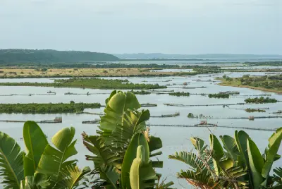 View across the interconnected lakes of Kosi Bay with traditional Tsonga fish traps, coastal forests and wetlands in northern KwaZulu-Natal, South Africa.