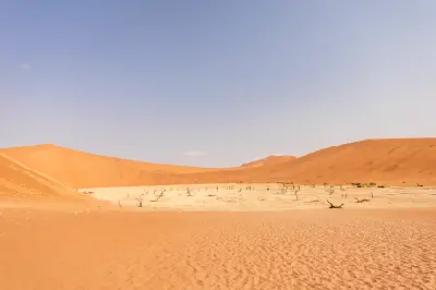 View across the Deadvlei clay pan toward the towering red slopes of Big Daddy Dune in Namibia’s Namib Desert.
