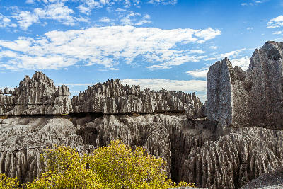 Jagged limestone pinnacles of the Great Tsingy rising above deep karst formations in Tsingy de Bemaraha National Park, Madagascar