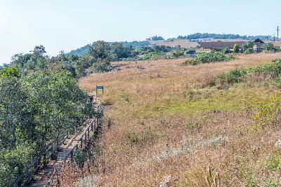 Wooden boardwalk and footpath leading to the Mac Mac Falls viewing area, with visitor facilities visible in the background near Sabie, Mpumalanga, South Africa.