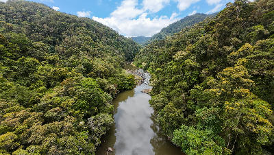 Aerial view of dense tropical rainforest and river valley in Ranomafana National Park, Madagascar.