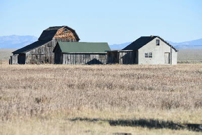 Historic homestead structures on Mormon Row in open field, Grand Teton National Park, Wyoming, USA.