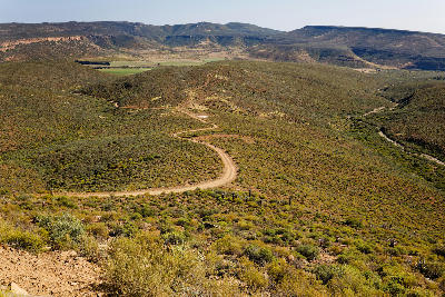 Panoramic view across the Biedouw Valley, with winding gravel roads, rugged mountain slopes, and expansive semi-arid landscapes in the northern Cederberg.